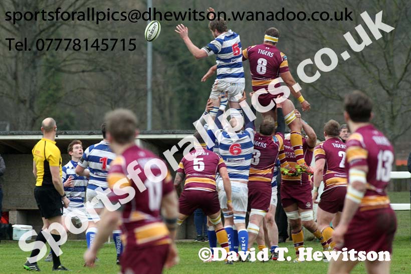 Tynedale v Sedgley Park, Tynedale Park, Corbridge, Northumberland. Photo: David T. Hewitson/Sports for All Pics